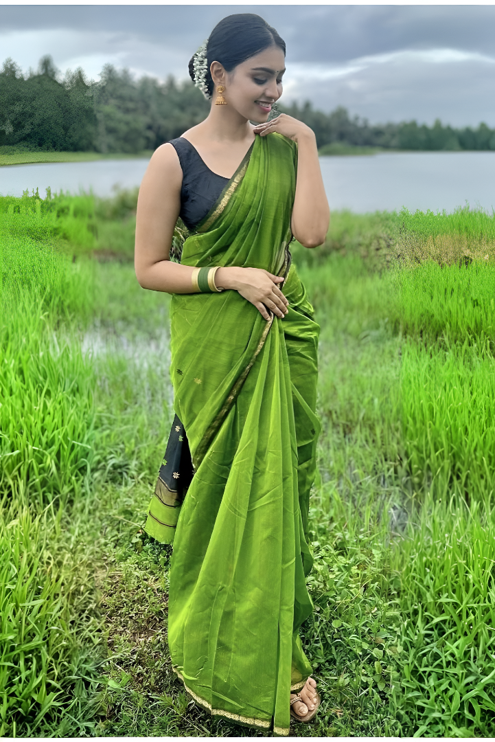 Silk Cotton Sarees